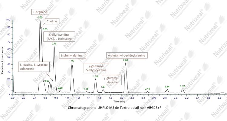 Chromatogramme de l'Extrait d'ail noir ABG25+®